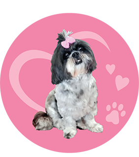 Cute small dog with a pink bow on its head sitting on a pink background with hearts and paw prints.