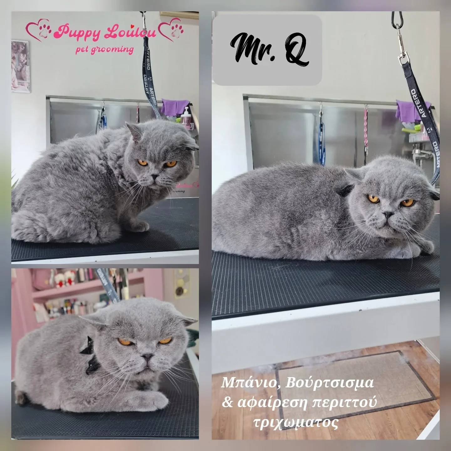 Combination of three photos of a gray British Shorthair cat at a grooming salon. The first photo shows the cat sitting on a grooming table with paw prints and the words 'Puppy LouLou pet grooming' in the background. The second photo features the cat lying on the grooming table, looking at the camera. The third photo shows the cat lying on the table, with a background of shelves and a salon setting. Text in Greek reads: 'Bath, brushing, and trimming of excess hair'.
