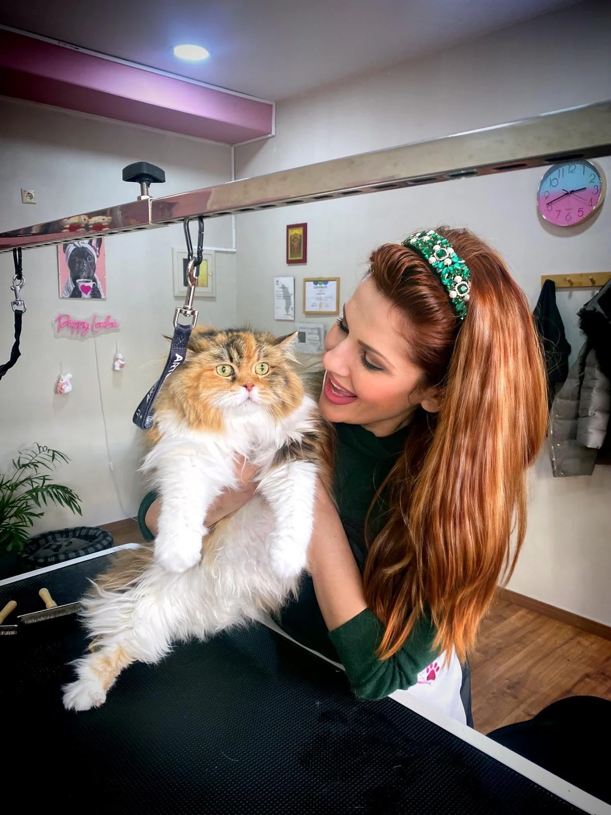 A woman with long red hair and a green headband holding a fluffy, long-haired calico cat at a pet grooming salon.