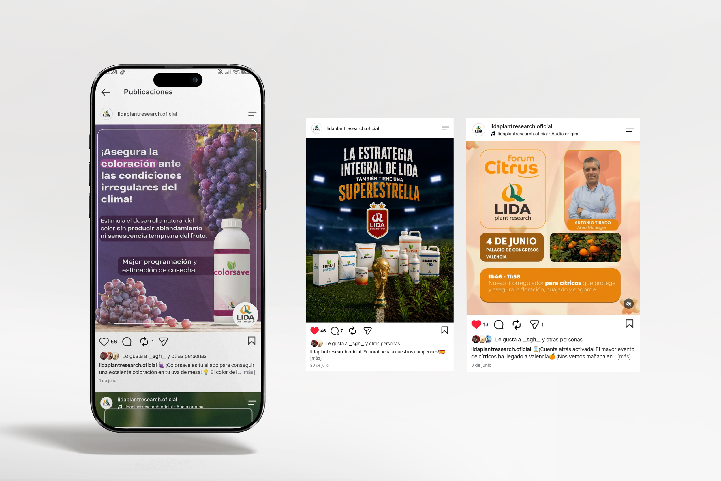 9060-01-phone-mockup.png
