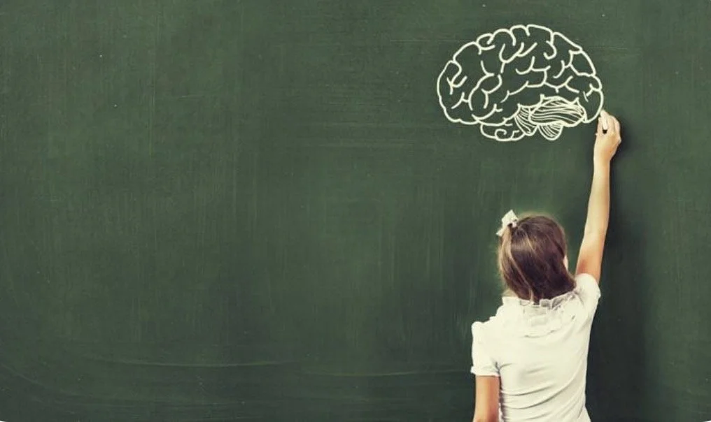 Neuroscience: offering ‘fresh impetus’ to old ideas