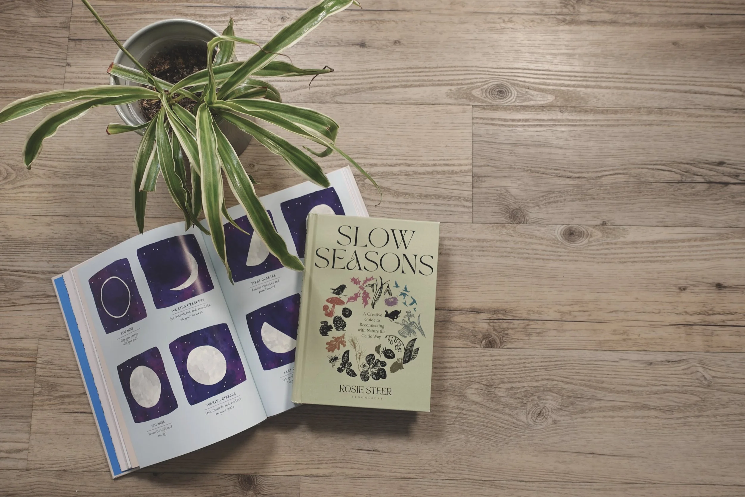Overhead view of a wooden floor with an open book showing moon phases, a closed book titled "Slow Seasons" by Rosie Steer, and a potted green plant.