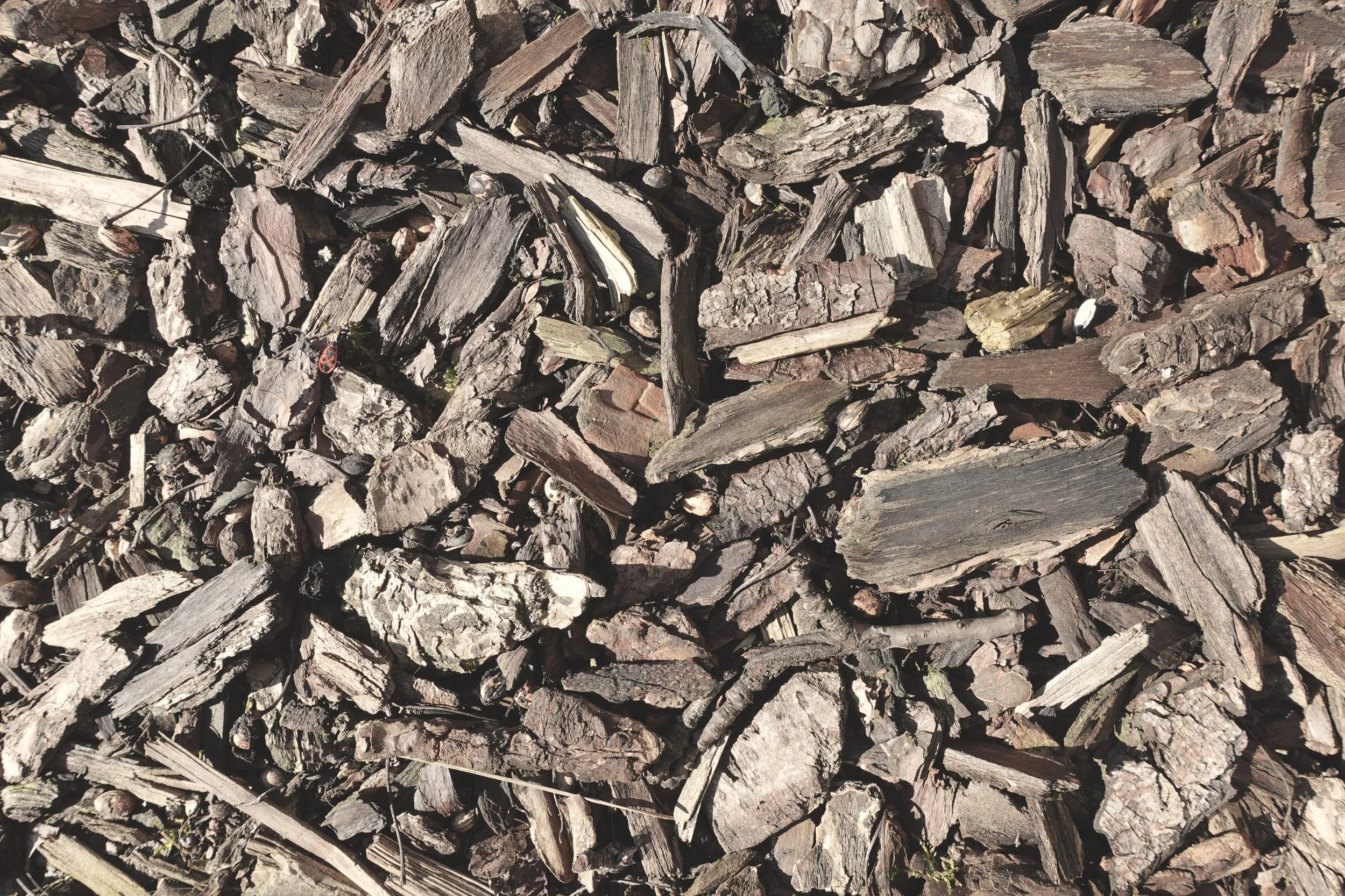 Close-up of a pile of chopped firewood logs and sticks.