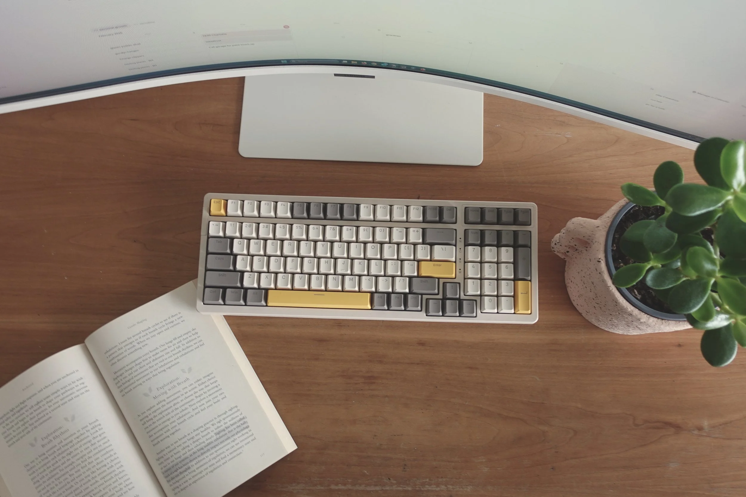 Desk with an open book, a mechanical keyboard with yellow, gray, and white keys, a curved monitor, and a potted green succulent plant on a wooden surface.