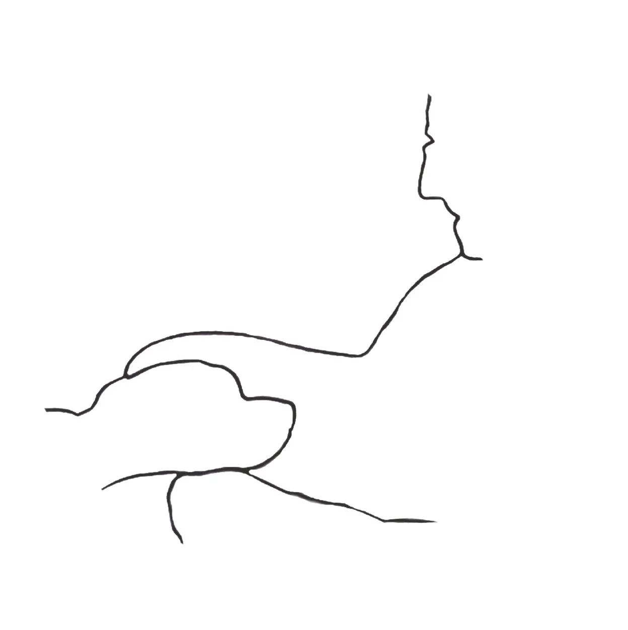 IMG_2224.jpeg