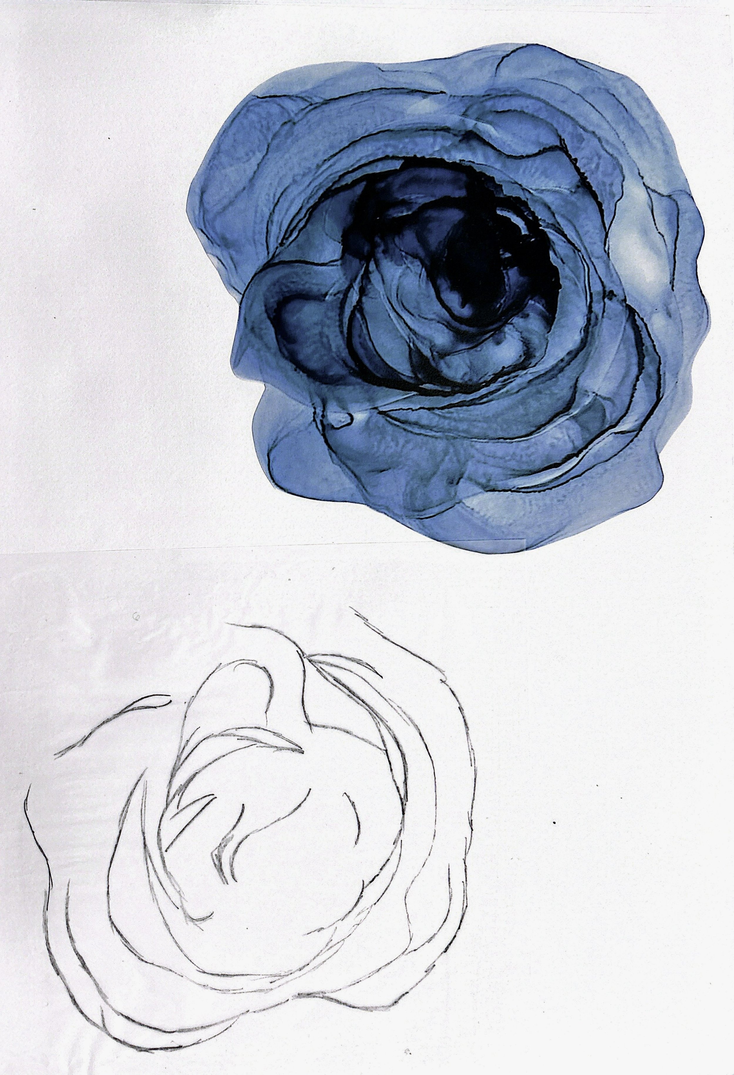 CamScanner 15-12-2025 13.11_60.jpg