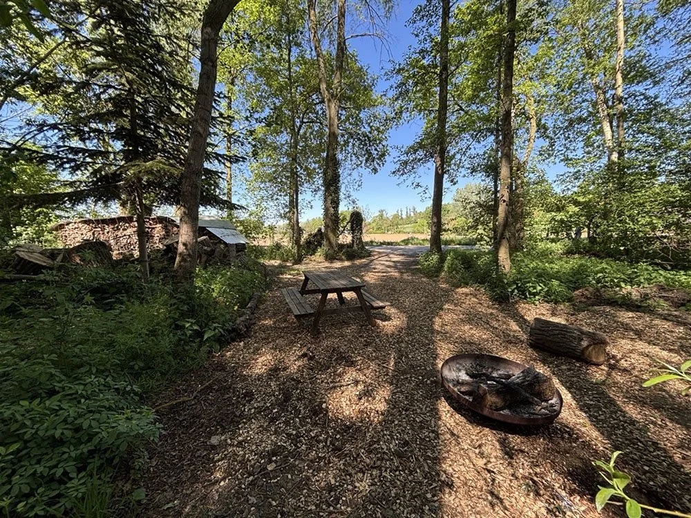 boslocatie-voor-solo-retreat-Horebeke.jpg