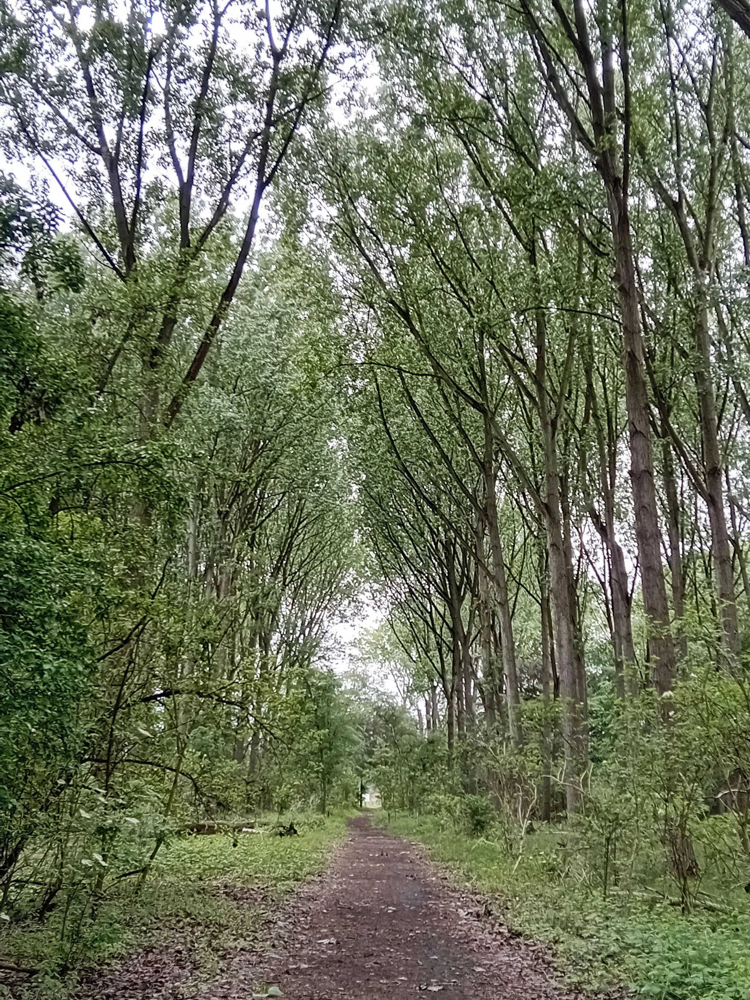 rust-en-herstel-in-de-natuur.jpg