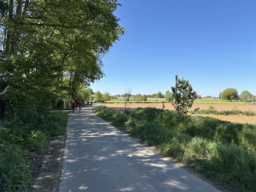 camper-solo-retreat-vrouw-natuur-Horebeke.jpg