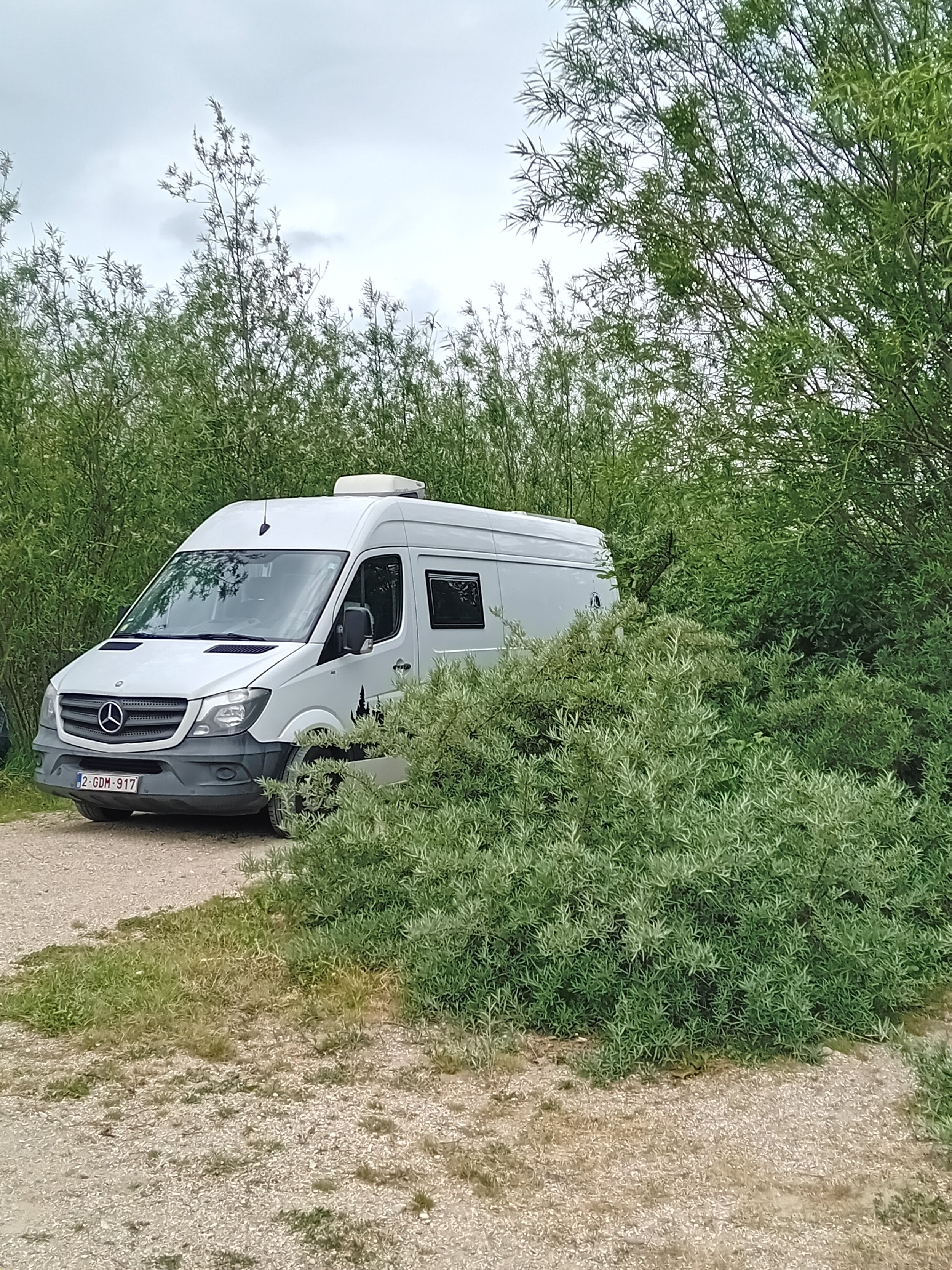 Een witte camper in een natuuromgeving vormt het warme vertrekpunt voor een begeleide wandeling en bosgesprek in een bos.