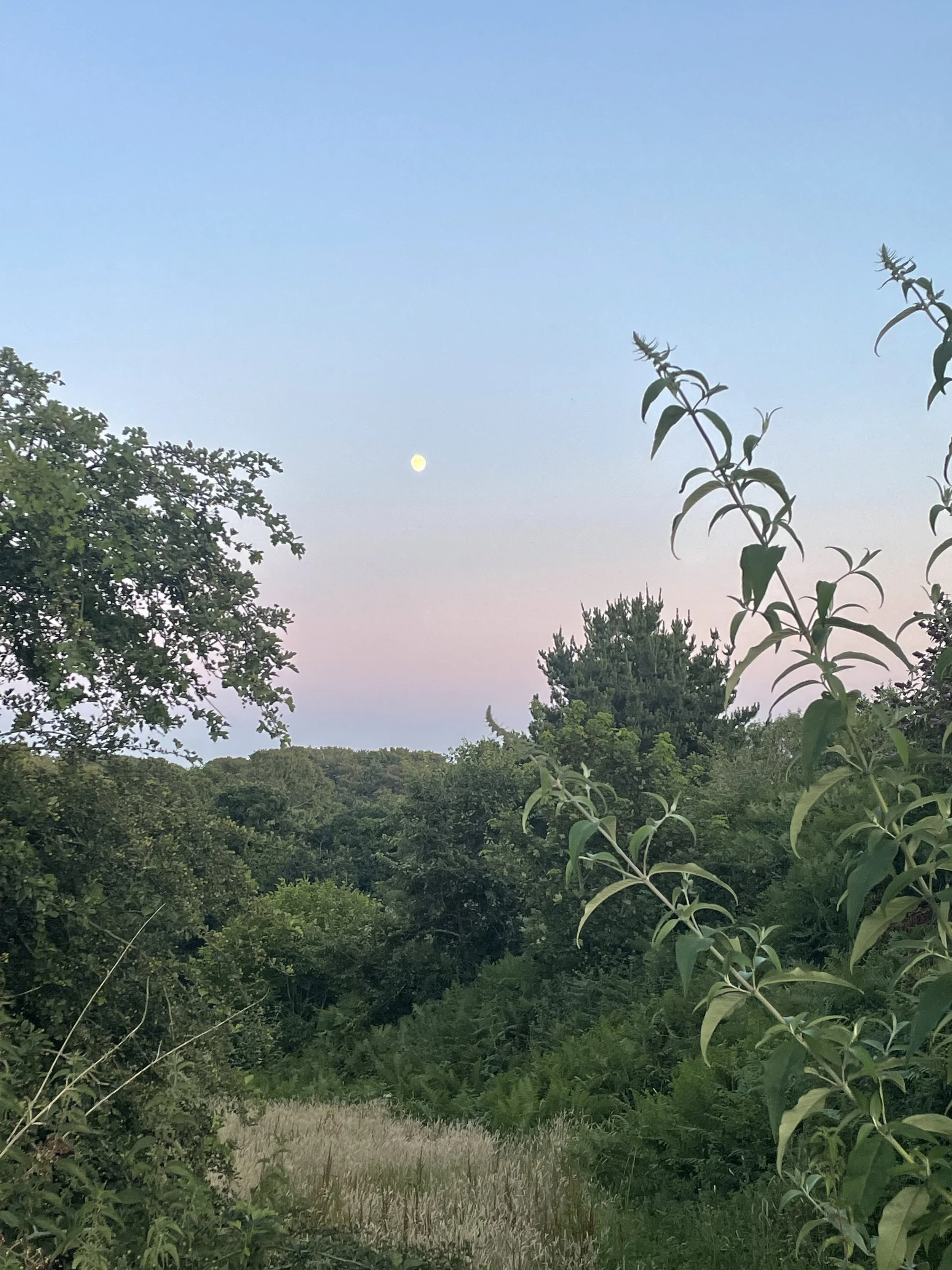 Why are rituals so important?