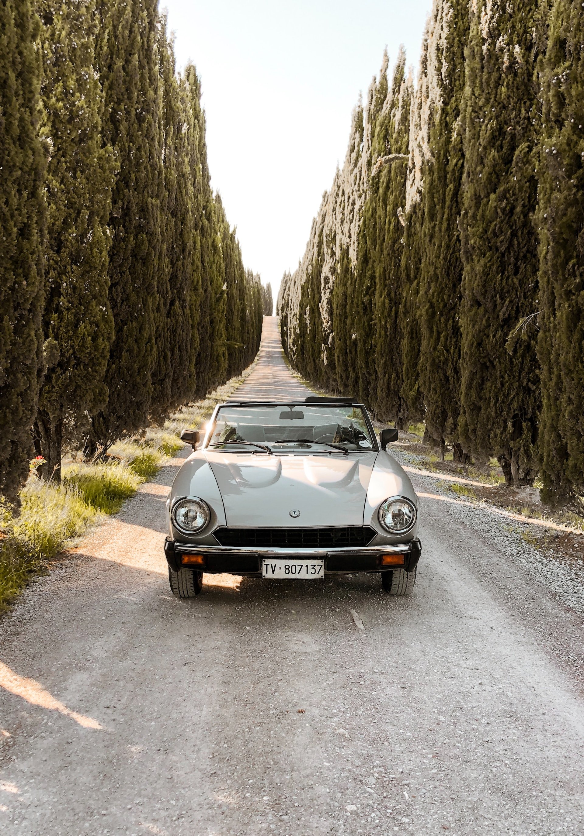 Wedding Website Design, Digital Wedding Stationery, Web Design and Branding for Wedding Professionals | Avelã White. Classic convertible car on a tree-lined road with cypress trees.