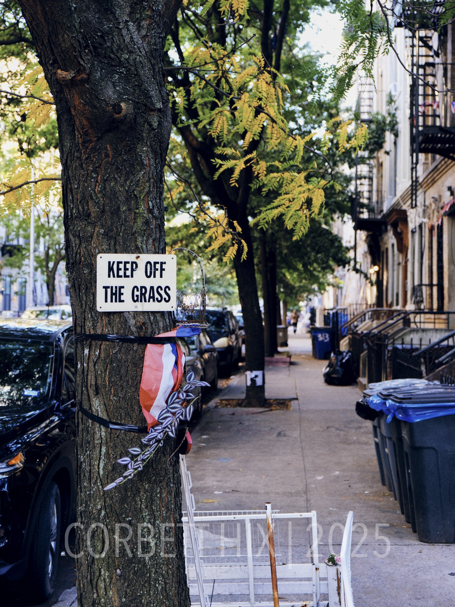 New York City-October 2025