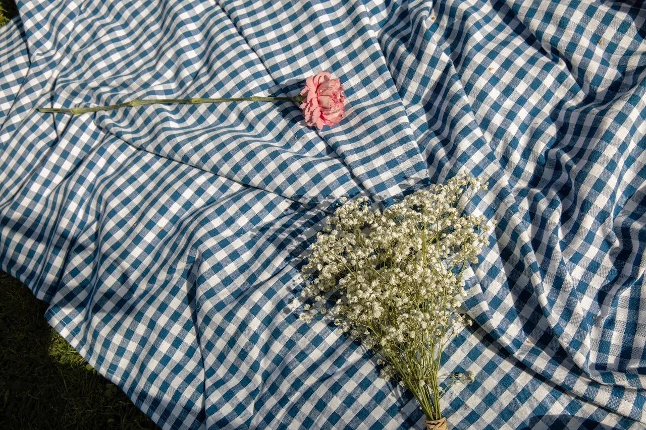 Pink carnation flower and white baby's breath flowers on a blue and white checkered cloth outdoors.