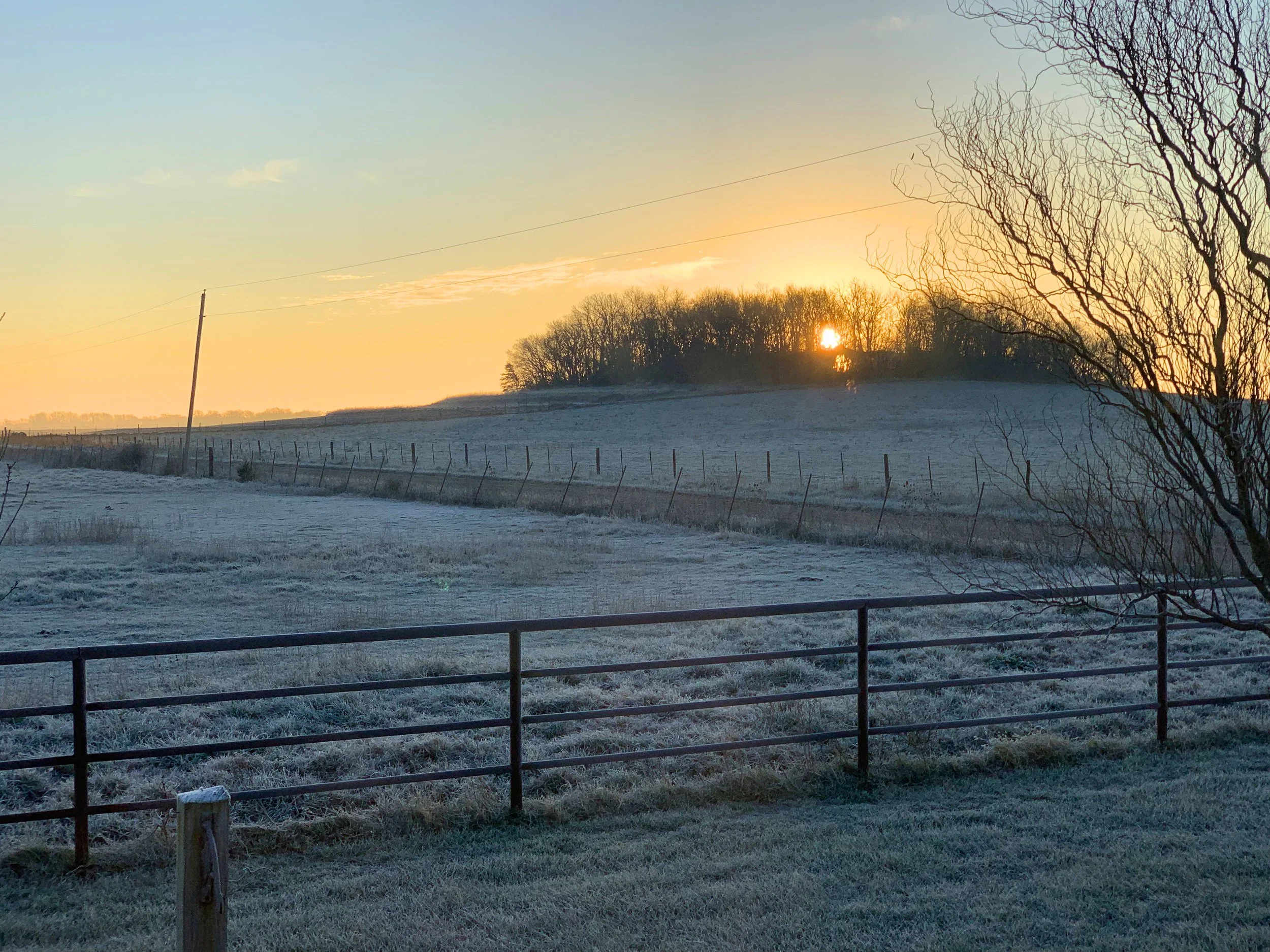 IMG_4173 - Edited.jpg