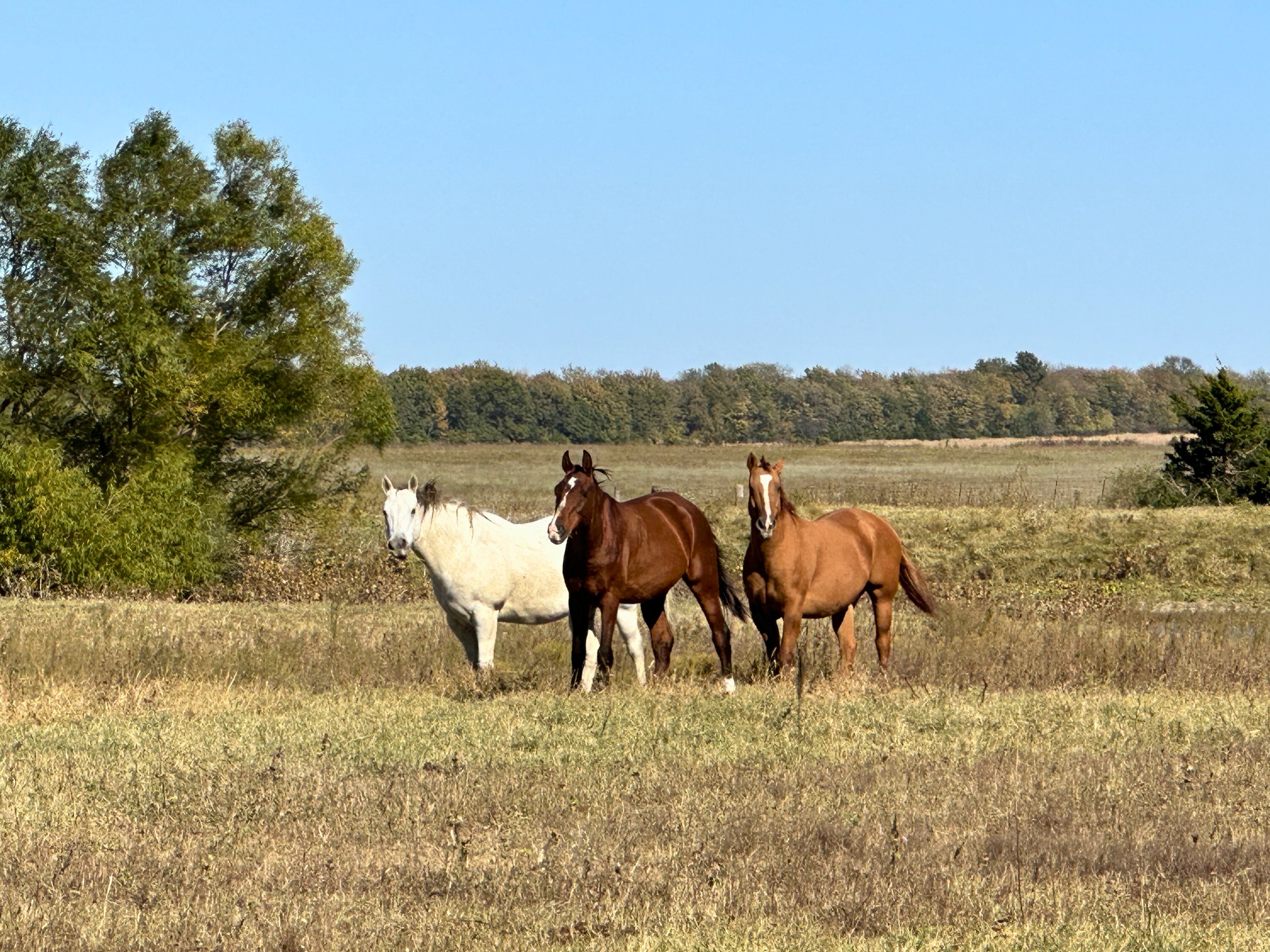 IMG_7601 - Edited.jpg