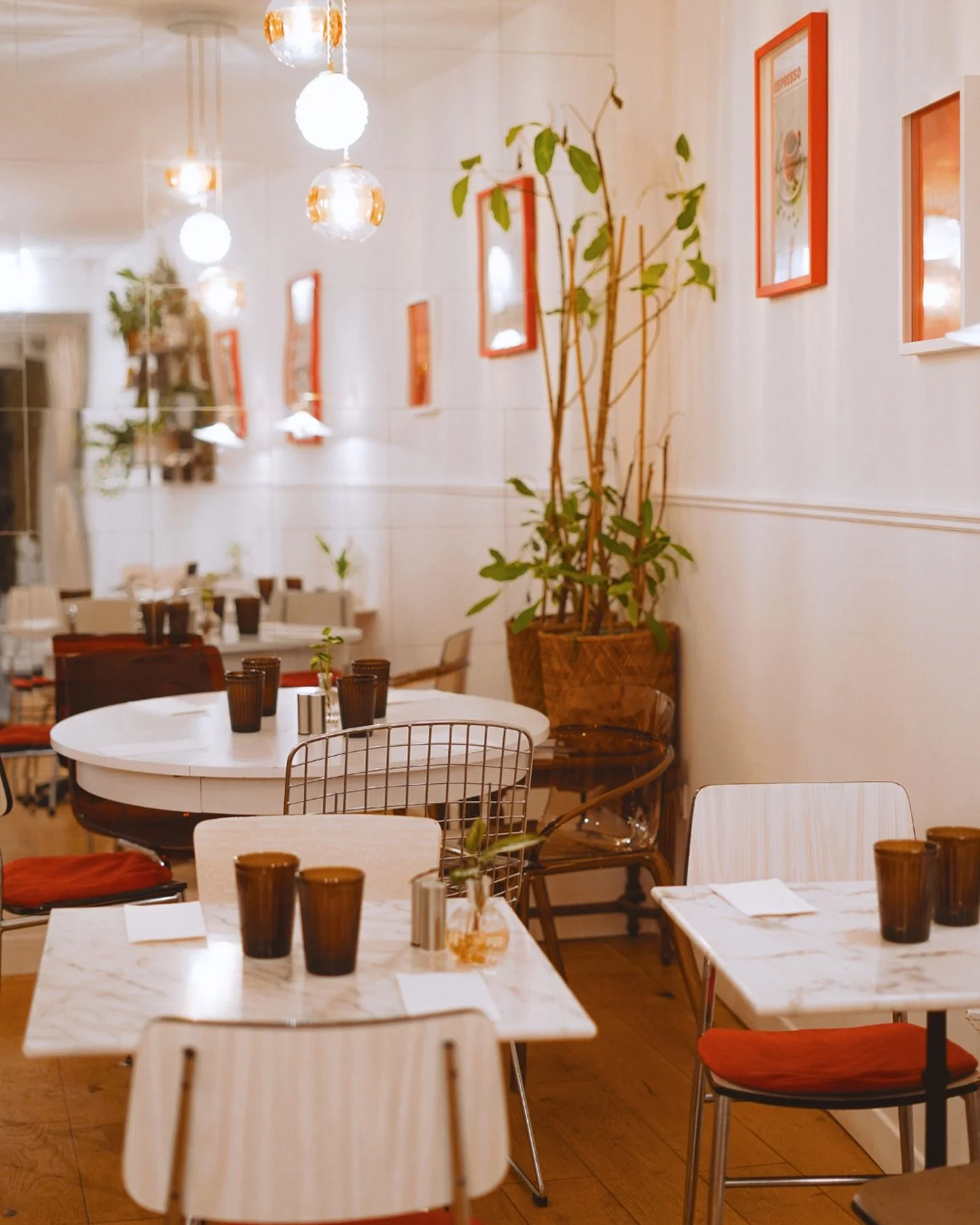 Gozo 🍪 @gozobayonne