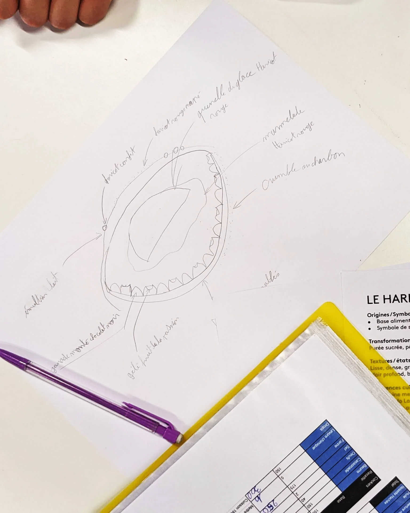 Croquis d'intention et recherches narratives réalisés par les élèves lors du workshop de design culinaire.