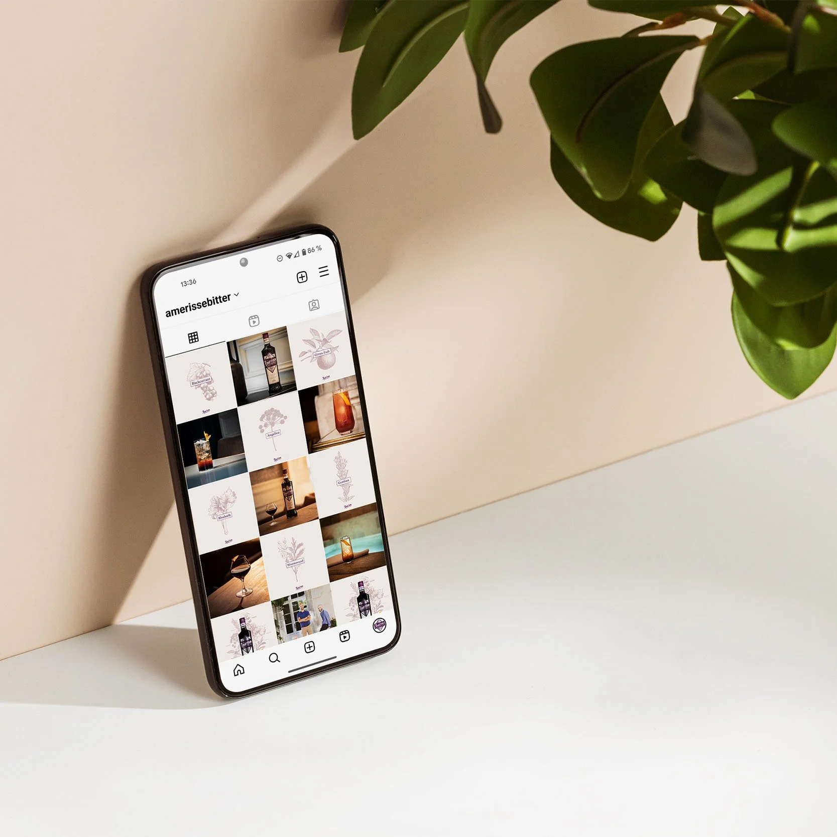Stratégie visuelle et déclinaison du feed Instagram pour la marque Amérisse sur smartphone.