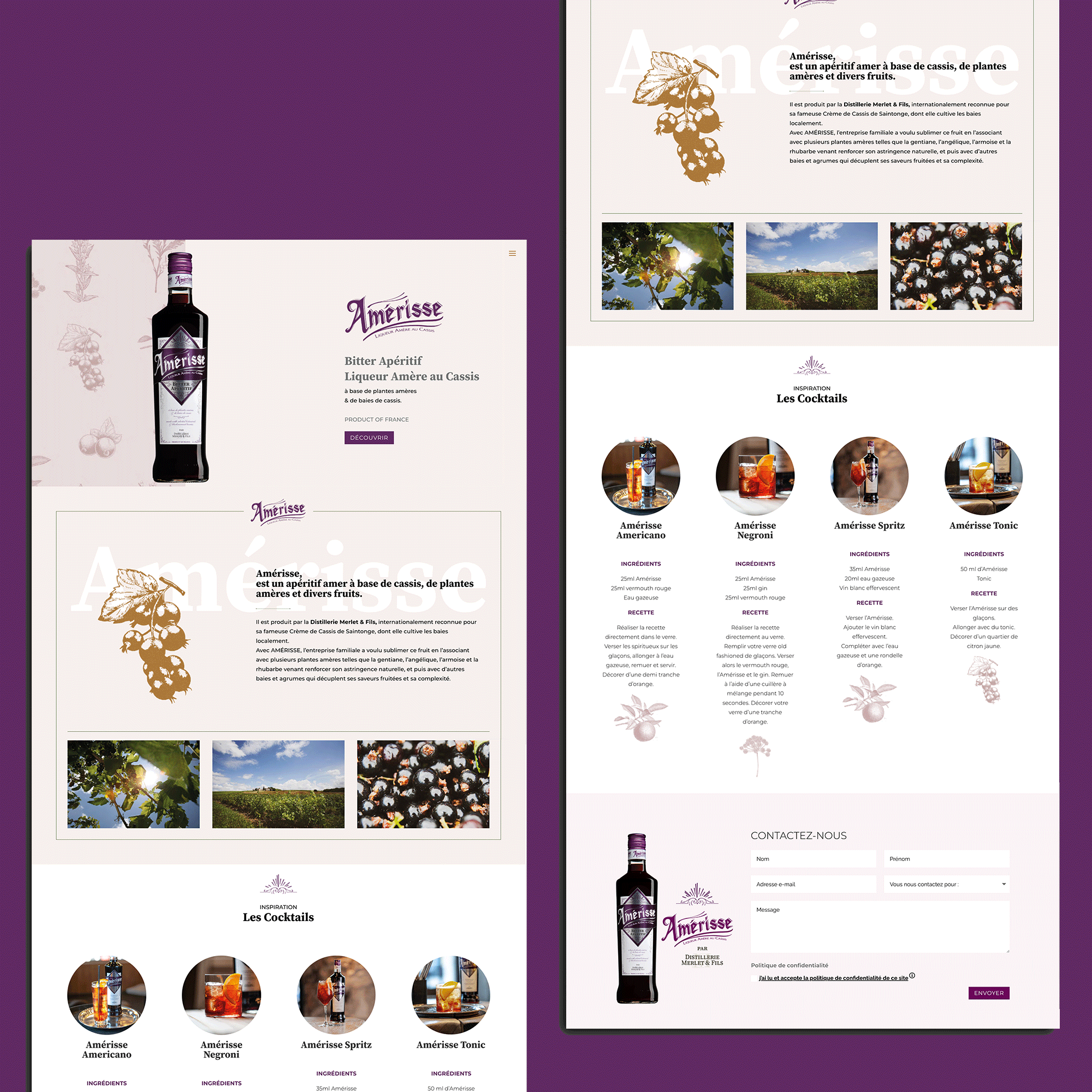 Maquette du site web Amérisse présentant une interface épurée et une navigation fluide.