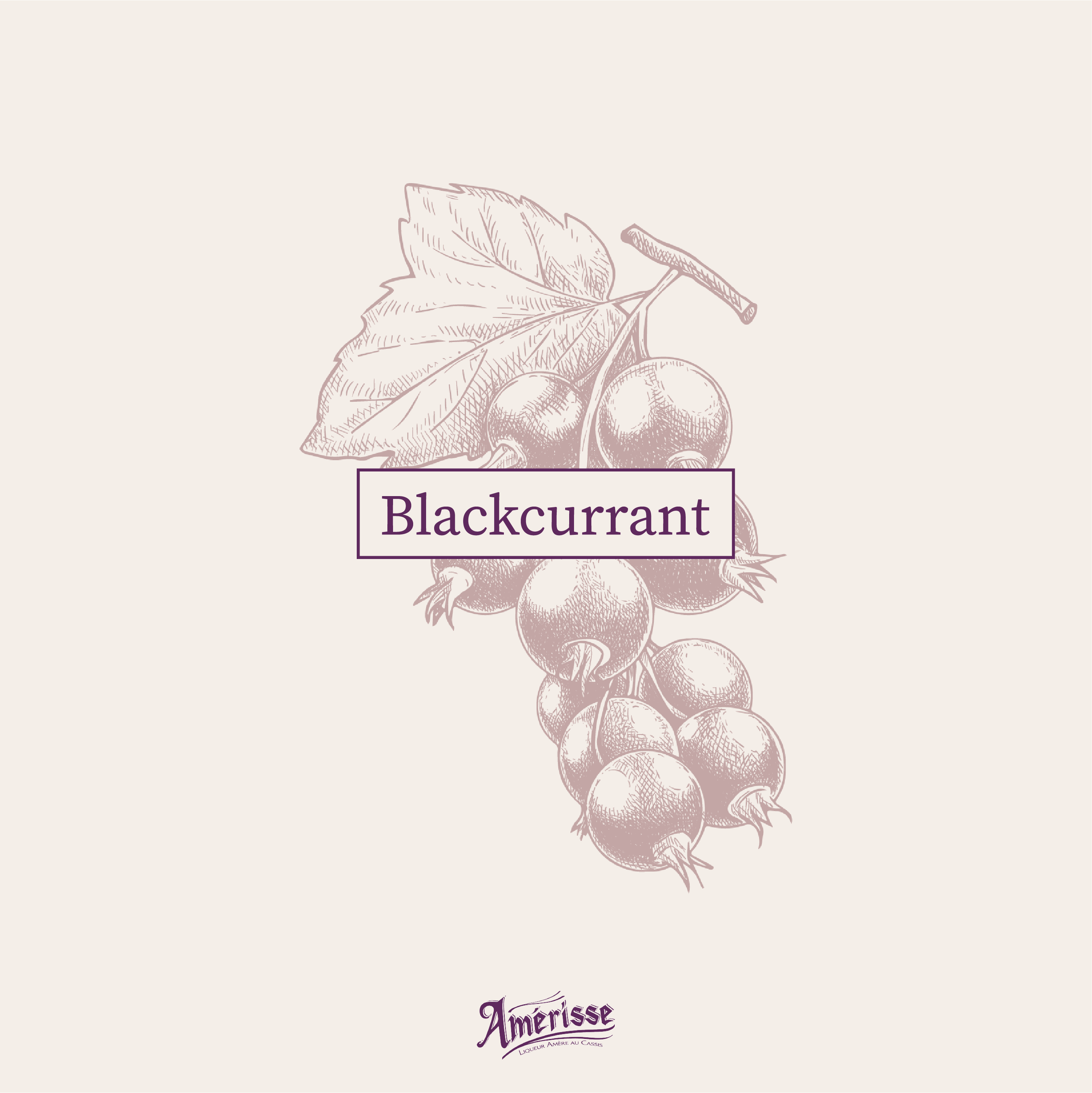 Mise en page graphique alliant typographie moderne et illustrations botaniques anciennes.