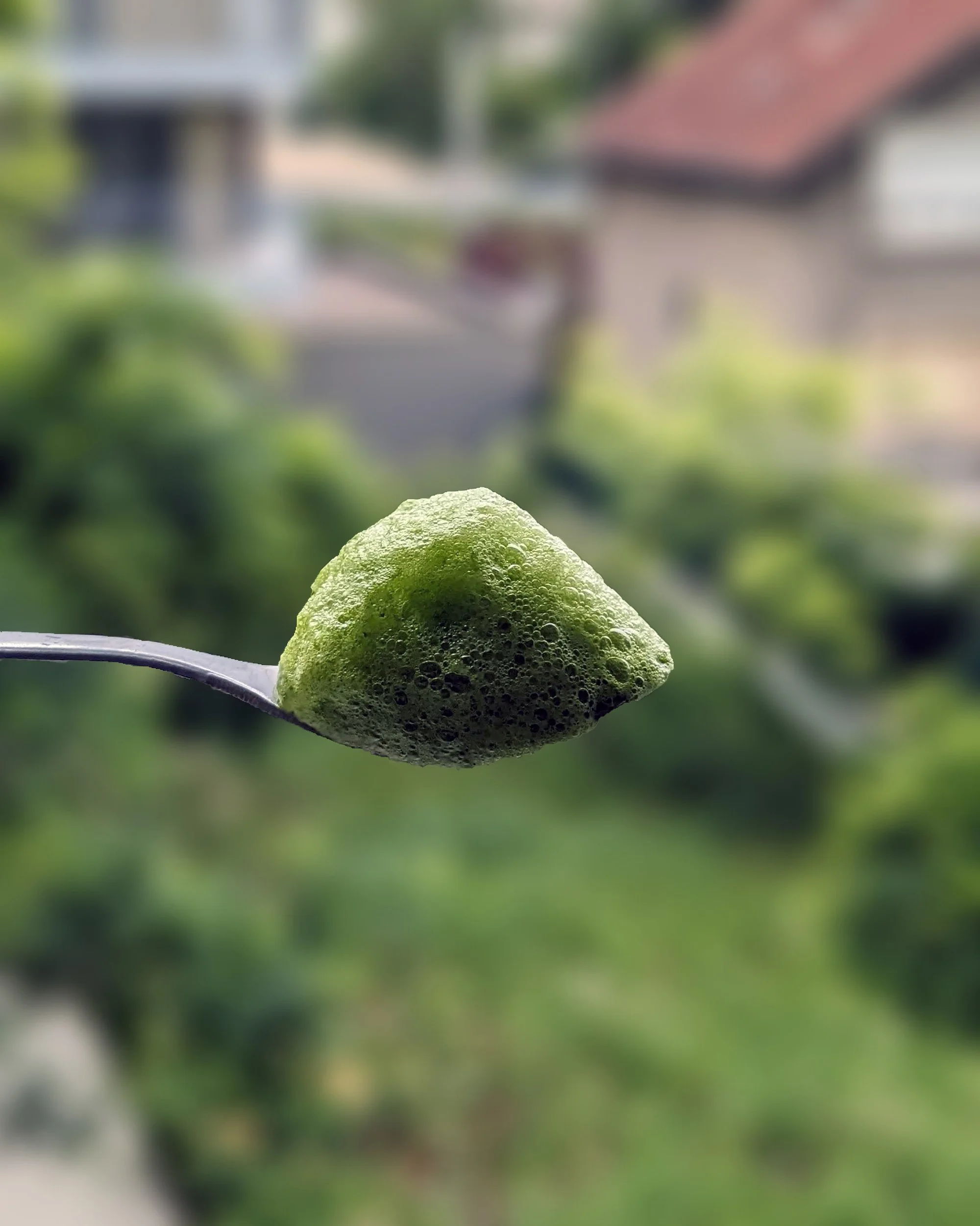 Écume légère d'herbes vertes à la cuillère, recherche sur les textures et la volatilité du goût.