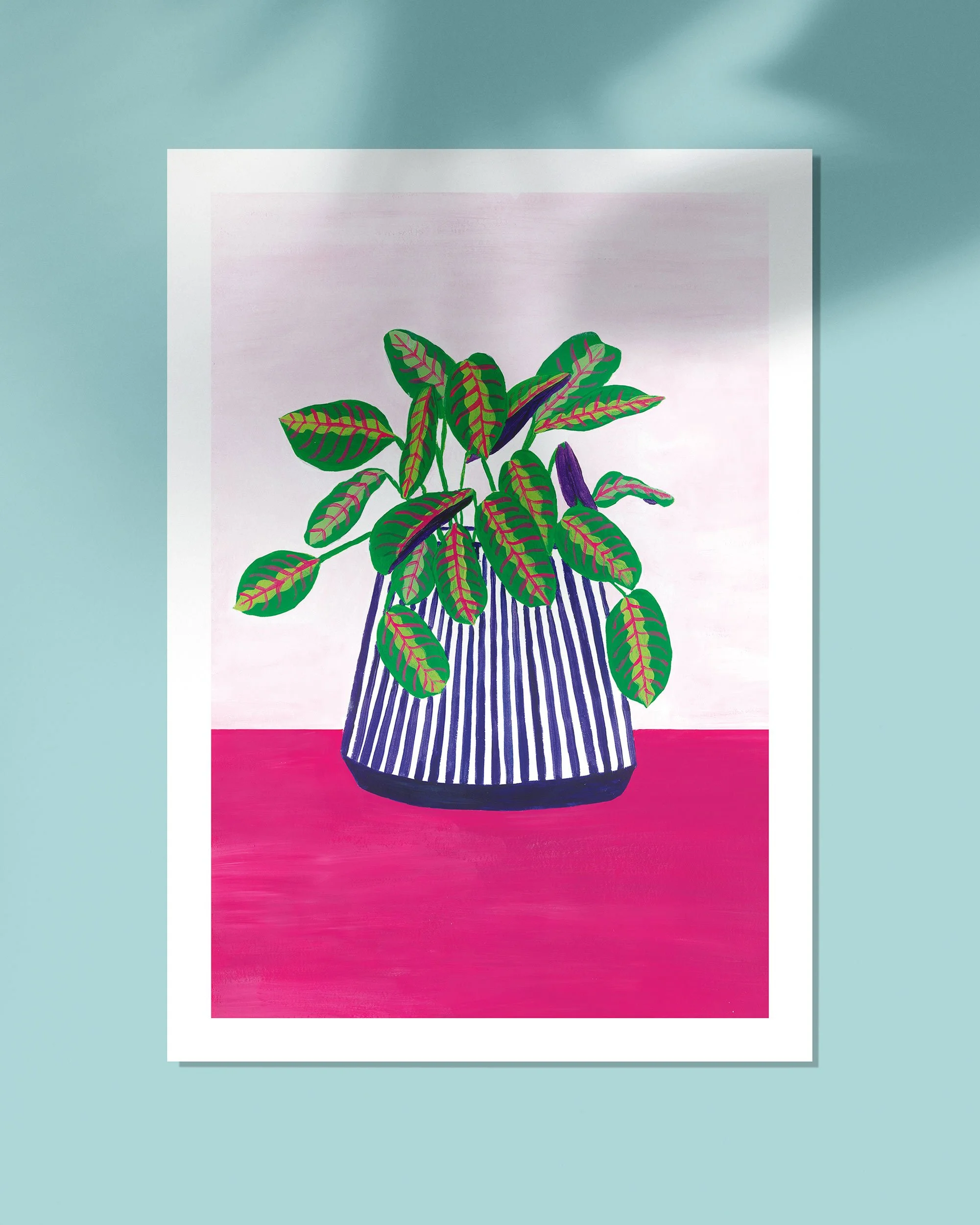 Affiche de décoration botanique dessinée à la peinture acrylique représentant une plante calathea dans un pot à rayures.