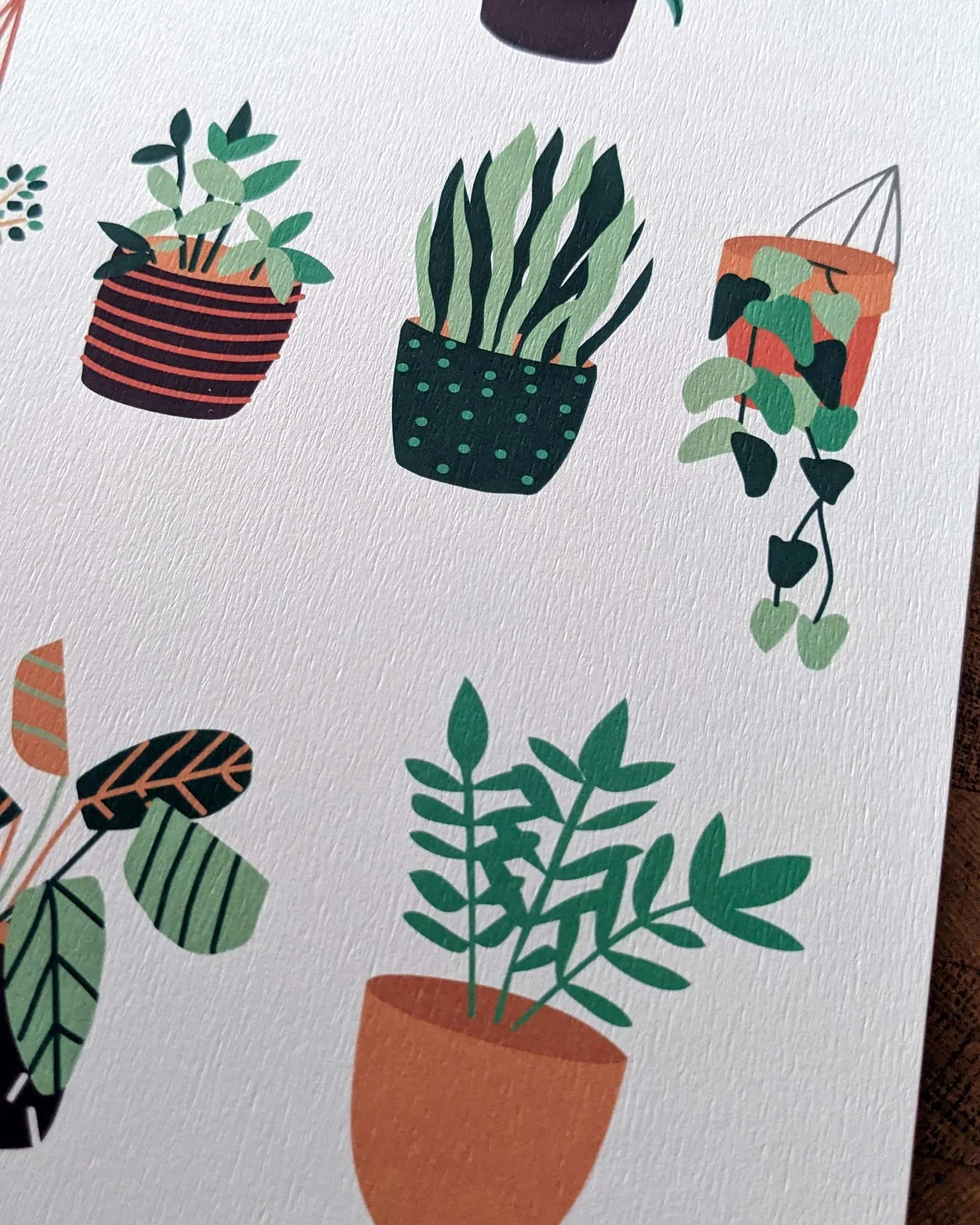 Détail d'une illustration botanique redessiner de façon numérique, montrant la texture du papier