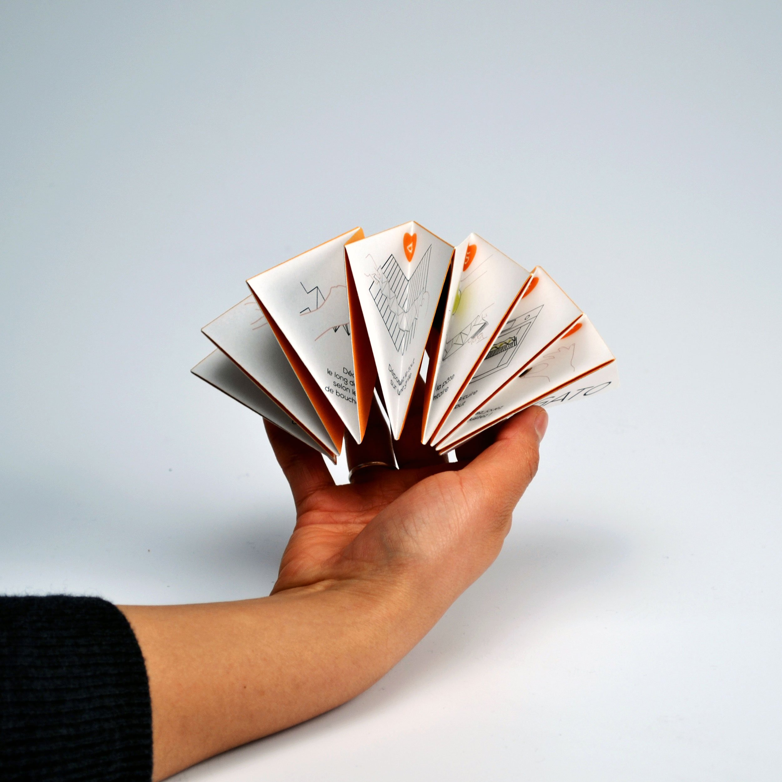 Photo du mode d'emploi imprimé et plié en accordéon.