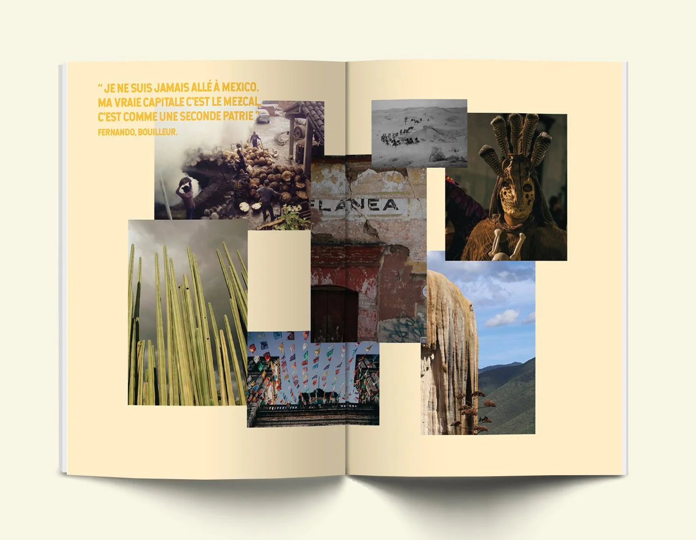 Design éditorial catalogue spiritueux - intercalaire mezcal ambiance mexicaine