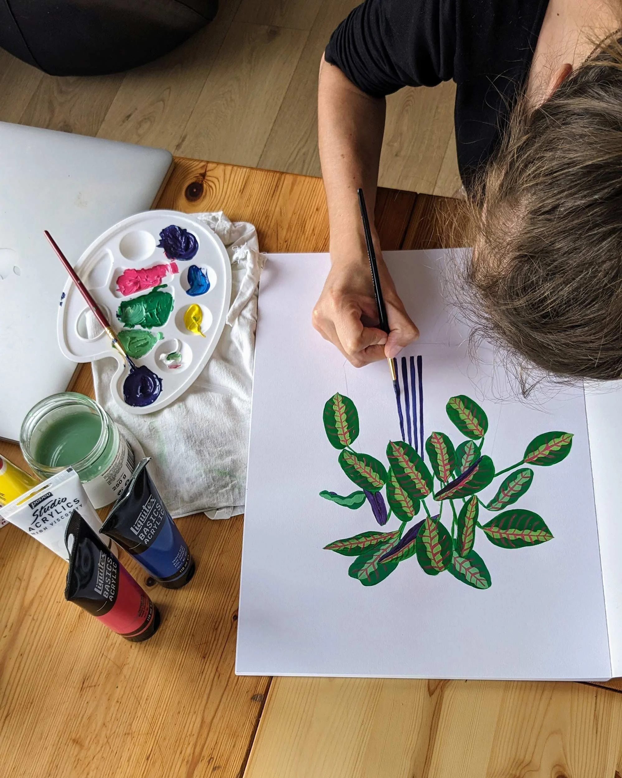 Processus créatif, peinture par Lucie Leforestier d'une illustration botanique de calathea