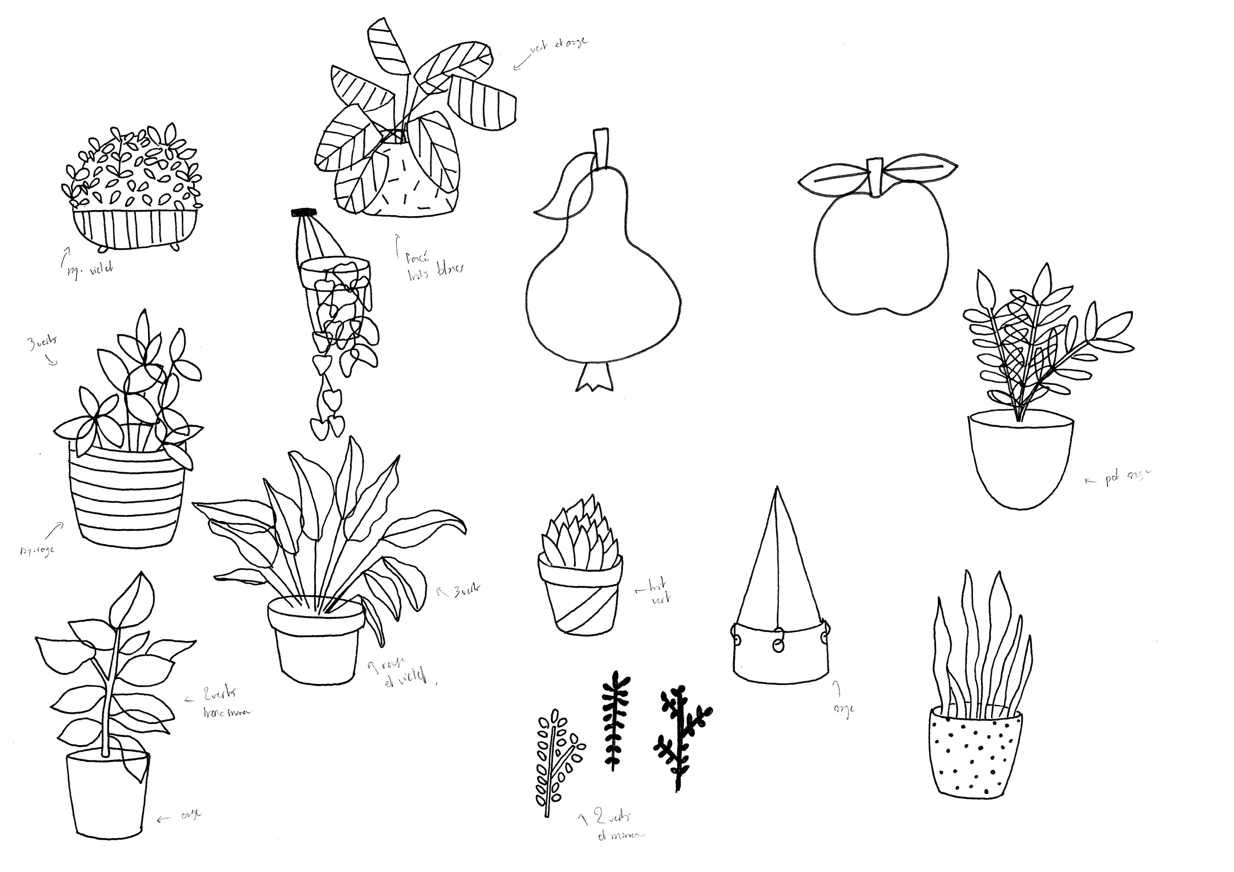 Processus créatif, esquisses préparatoires au stylo noir de plantes avec légendes pour colorisation