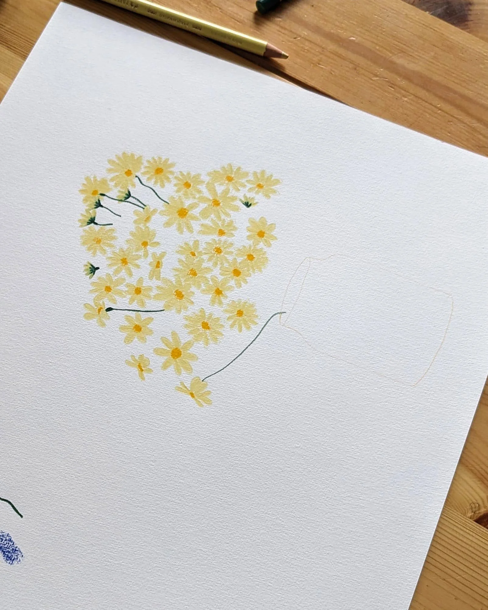 Processus créatif de dessin au crayon de marguerites par Lucie Leforestier, couleur ocre, jaune et vert.