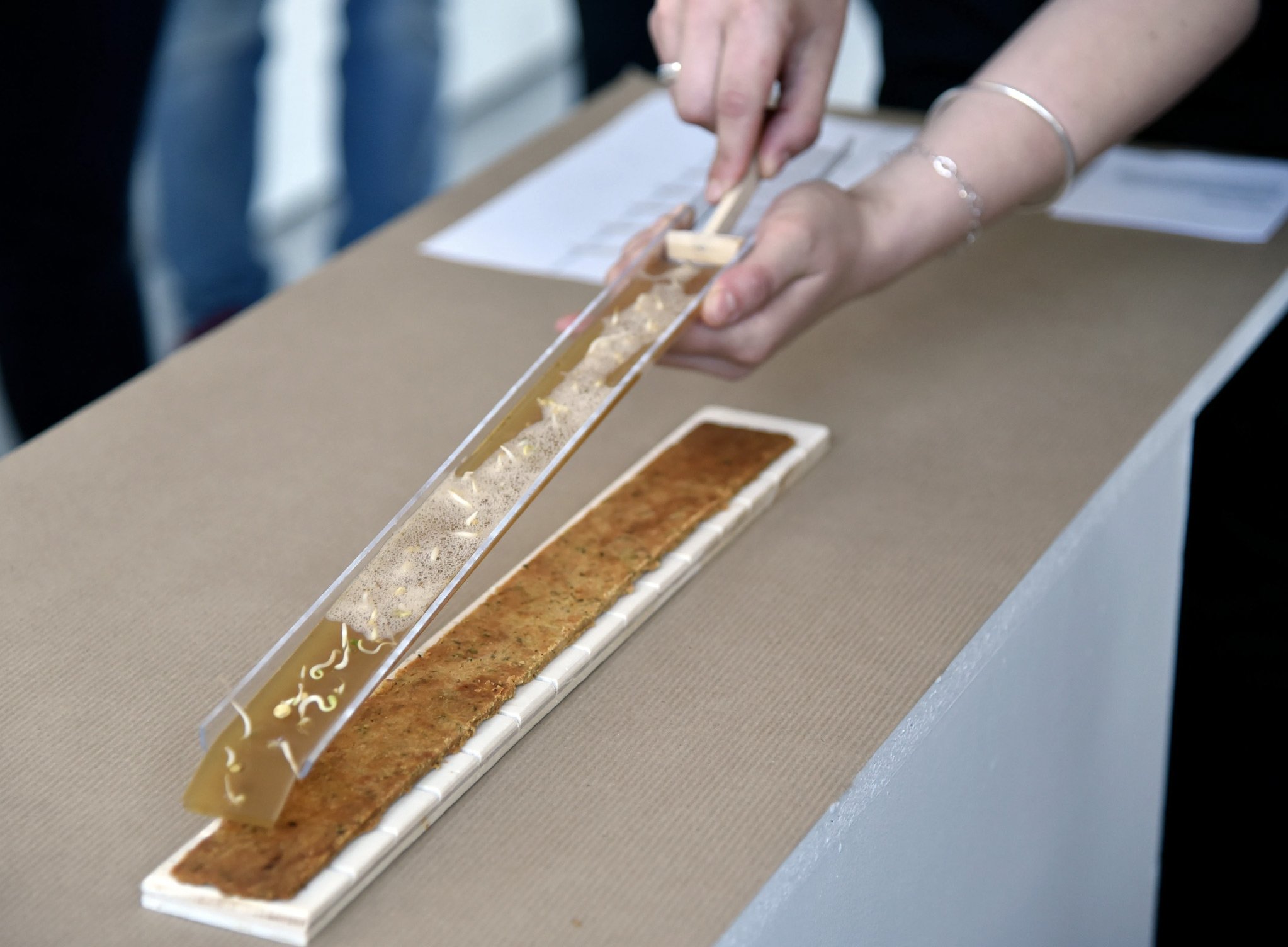 Installation comestible musée