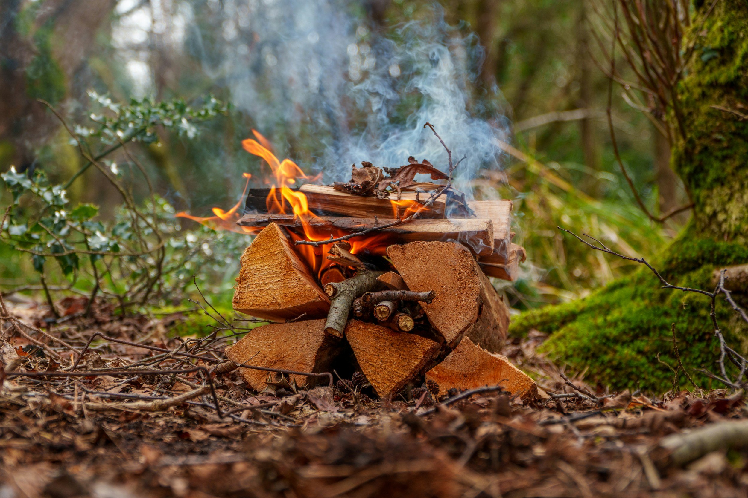 Bushcrafting