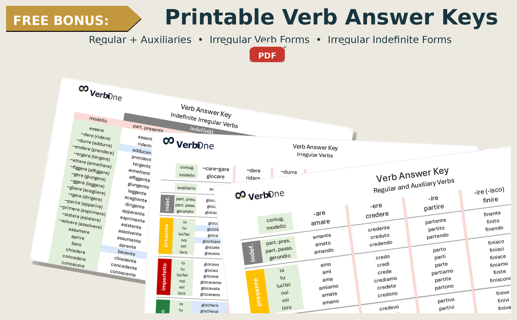 A collection of printable verb answer keys for regular and irregular verbs, including conjugations in different tenses, displayed on a beige background.