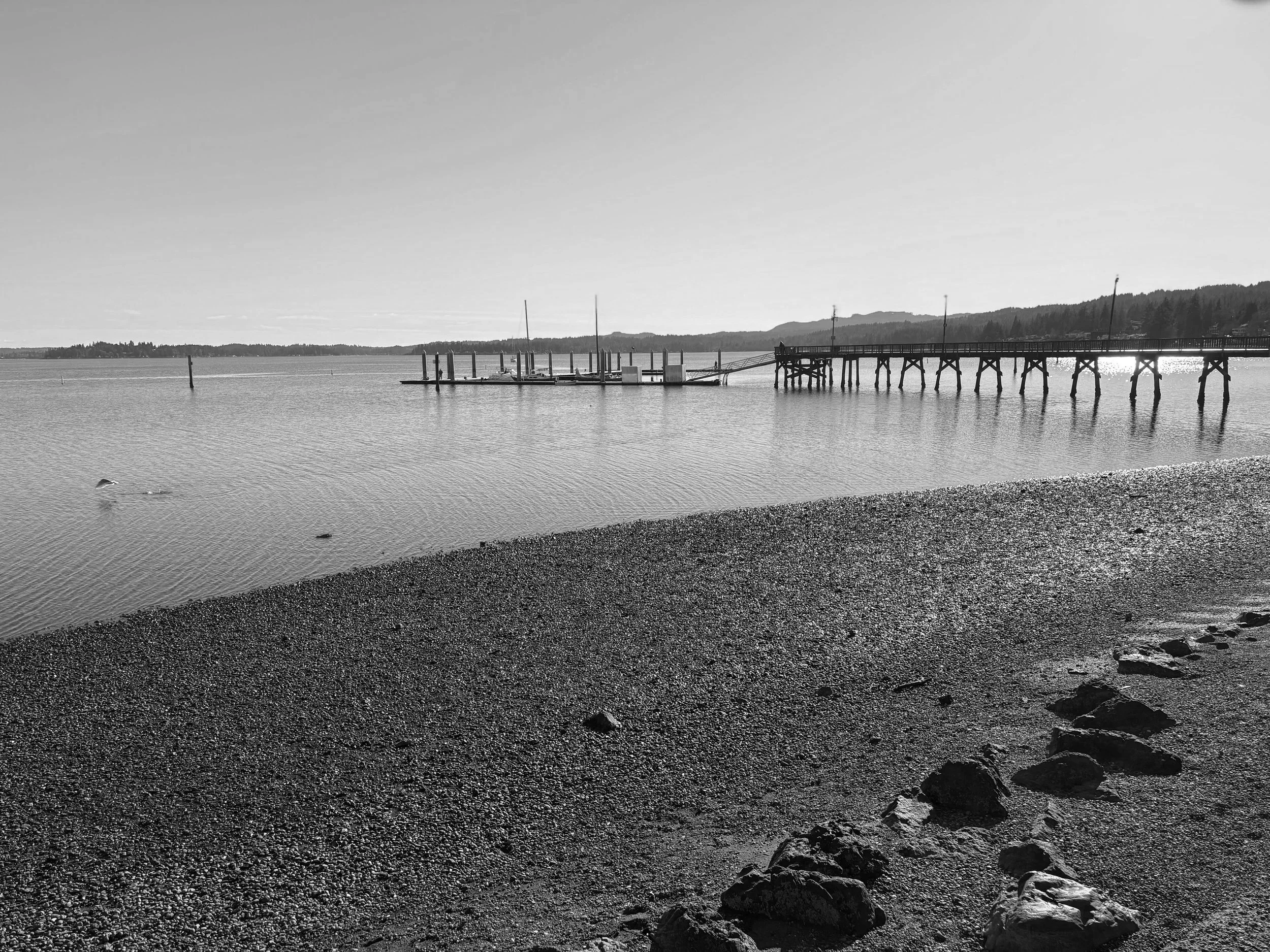 A black and white photo of a calm body of water with a pebbled shoreline in the foreground. There is a wooden pier extending into the water, with some sailboats docked nearby. Hills are visible in the distance under a clear sky.