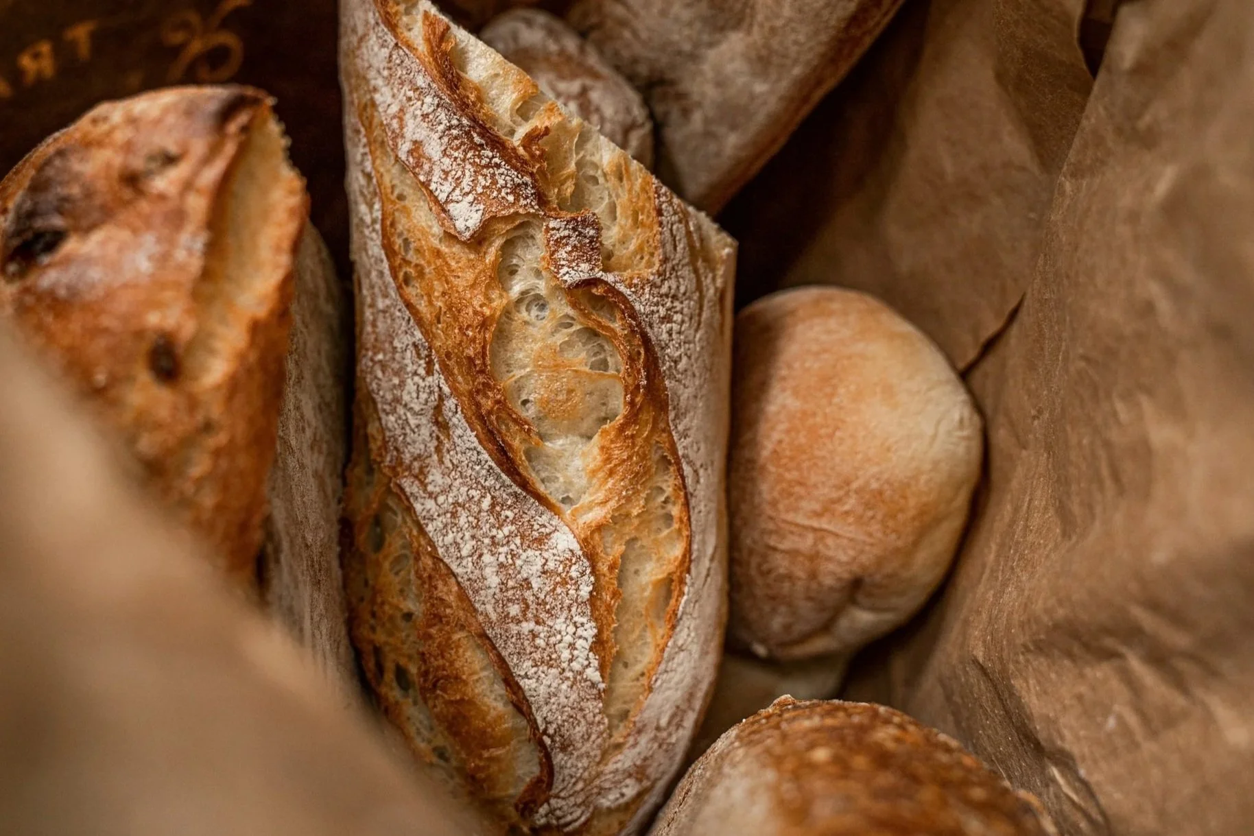 Close-up of assorted baked bread loaves in a paper bag, including a crusty baguette, a round sourdough roll, and a bread with a golden-brown crust.