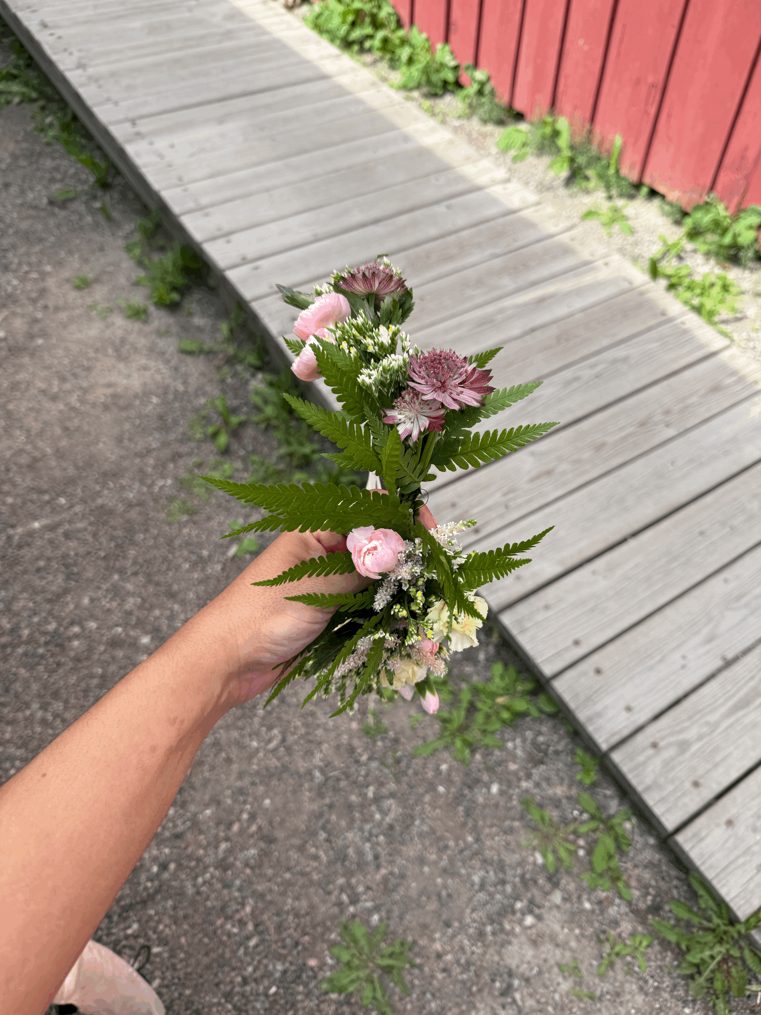 tempImageAlbfqr.gif