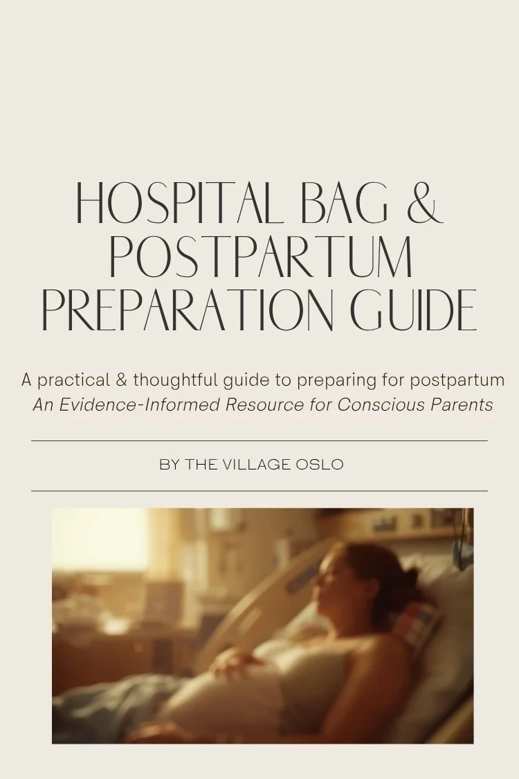 Hospital Bag & Postpartum Preparation Guide