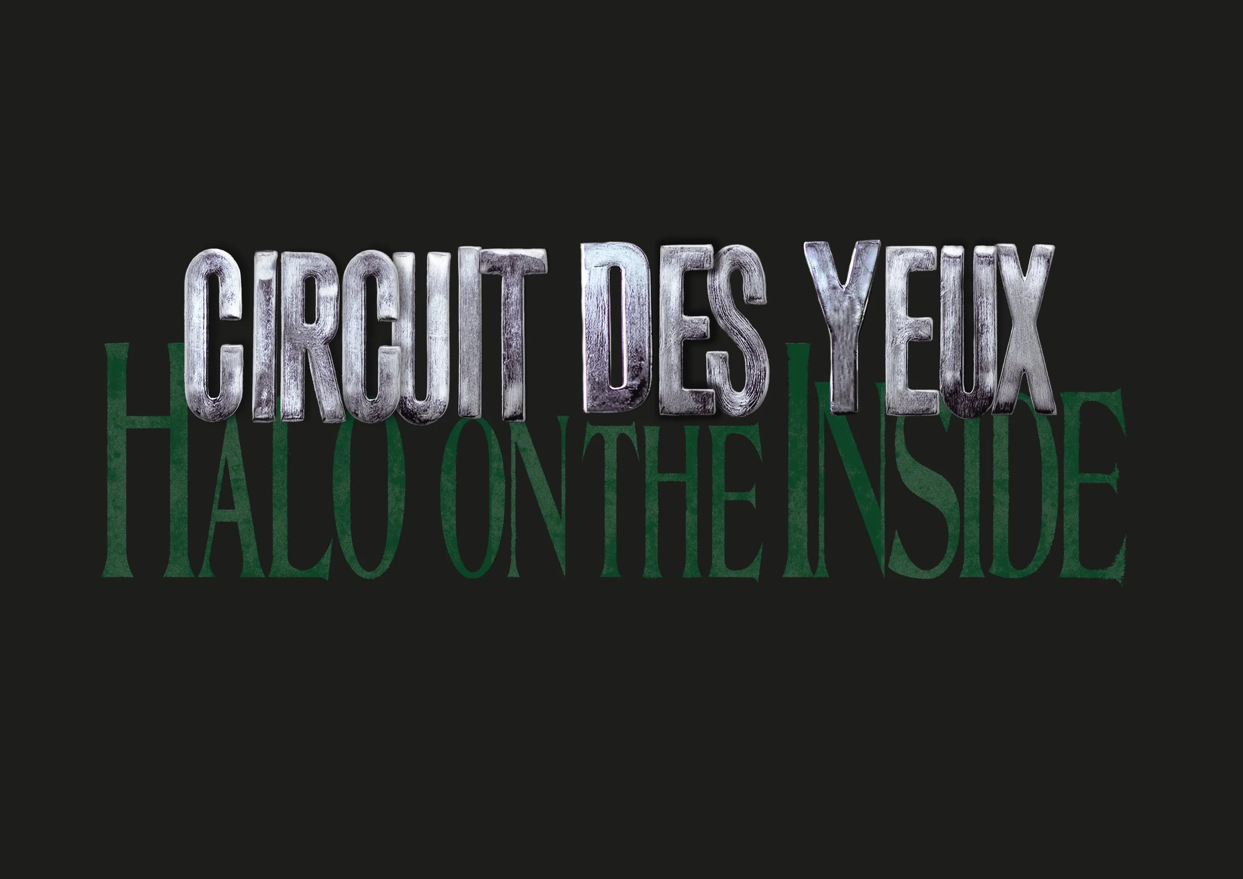 Circuit Des Yeux for fat V2-10 copy.jpg