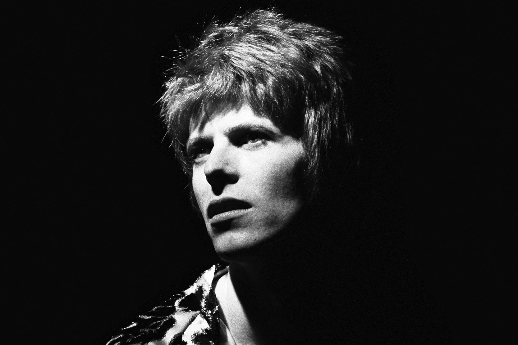 David Bowie