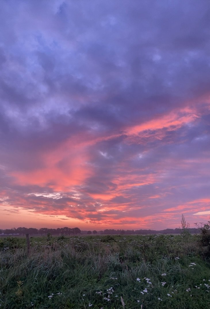 Een kleurrijke zonsondergang met roze en paarse wolken boven een landelijk veld met gras en bloemen.