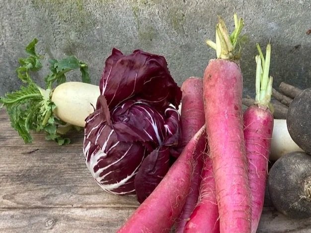 Diverse verse groenten, waaronder rode radijs, een witte knol, en een paar radijzen, op een houten oppervlak.