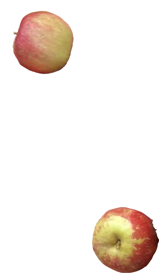 Een afbeelding met een appel boven en een appel onder.