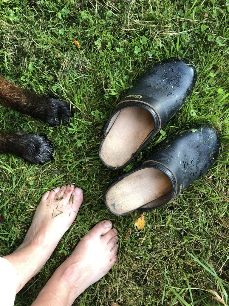 Een paar blote voeten op gras, naast een paar zwarte plastic klompen.
