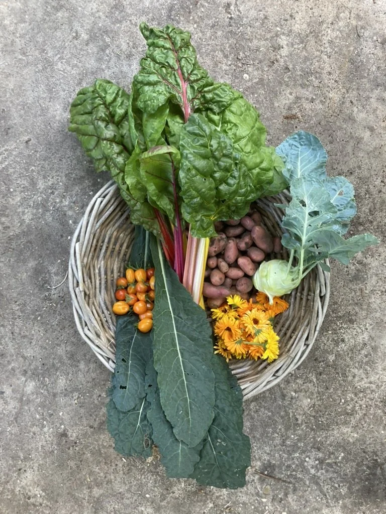 Mandje met verse groenten en bloemen, inclusief cherrytomaten, aardappelen, groene bladeren, en gele bloemen.