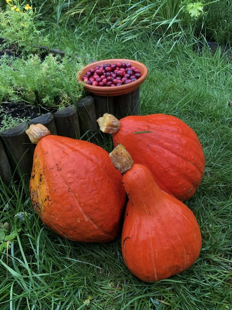 Drie grote oranje pompoenen op gras met een terracotta schaal met rode bessen en groene planten op de achtergrond.