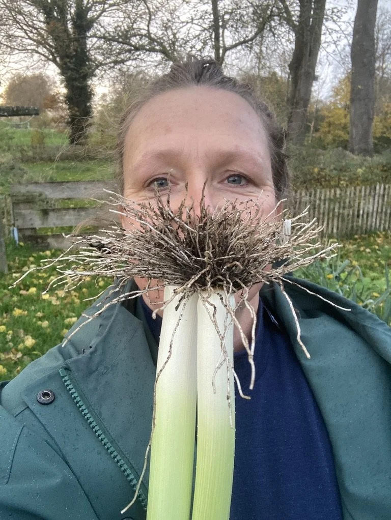 Vrouw houdt een plant met een grote wortel en bladeren voor zijn gezicht, alsof het een snor.