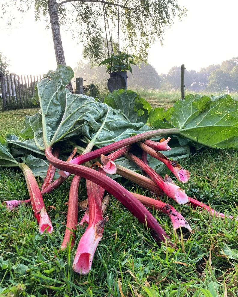 Verse groente op een grasveld.